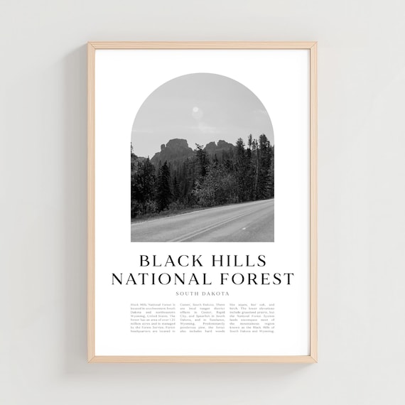 Black Hills National Forest South Dakota Road Minimalist Photo Poster