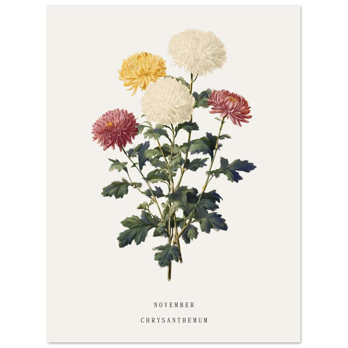 November Chrysanthemum Vintage Botanical Art Print