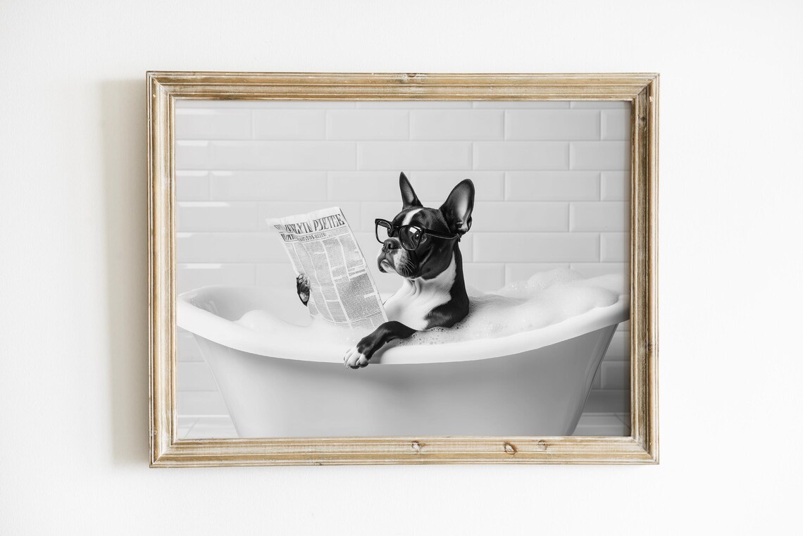 Boston Terrier In Bathtub, Funny Bathroom Art Print - Image 3