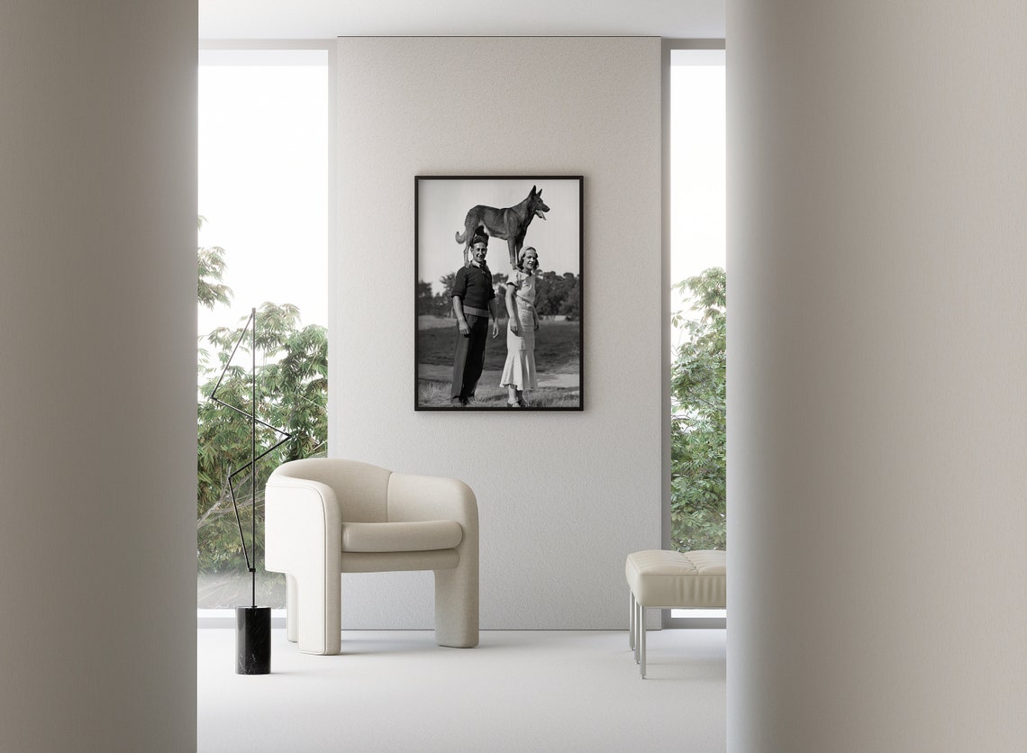 Dog Balancing on Couple Vintage Black and White Circus Trick Poster - Image 3