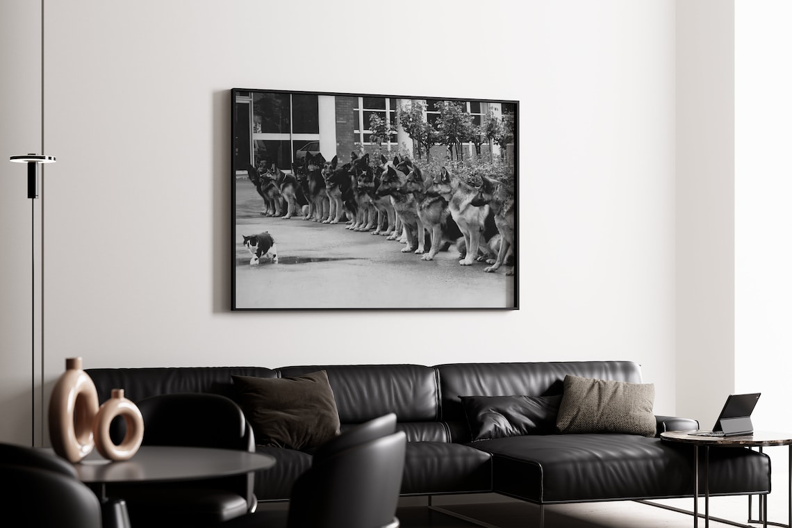 German Shepherds Ignoring a Cat Funny Police Dogs Trained Calm Poster - Image 2