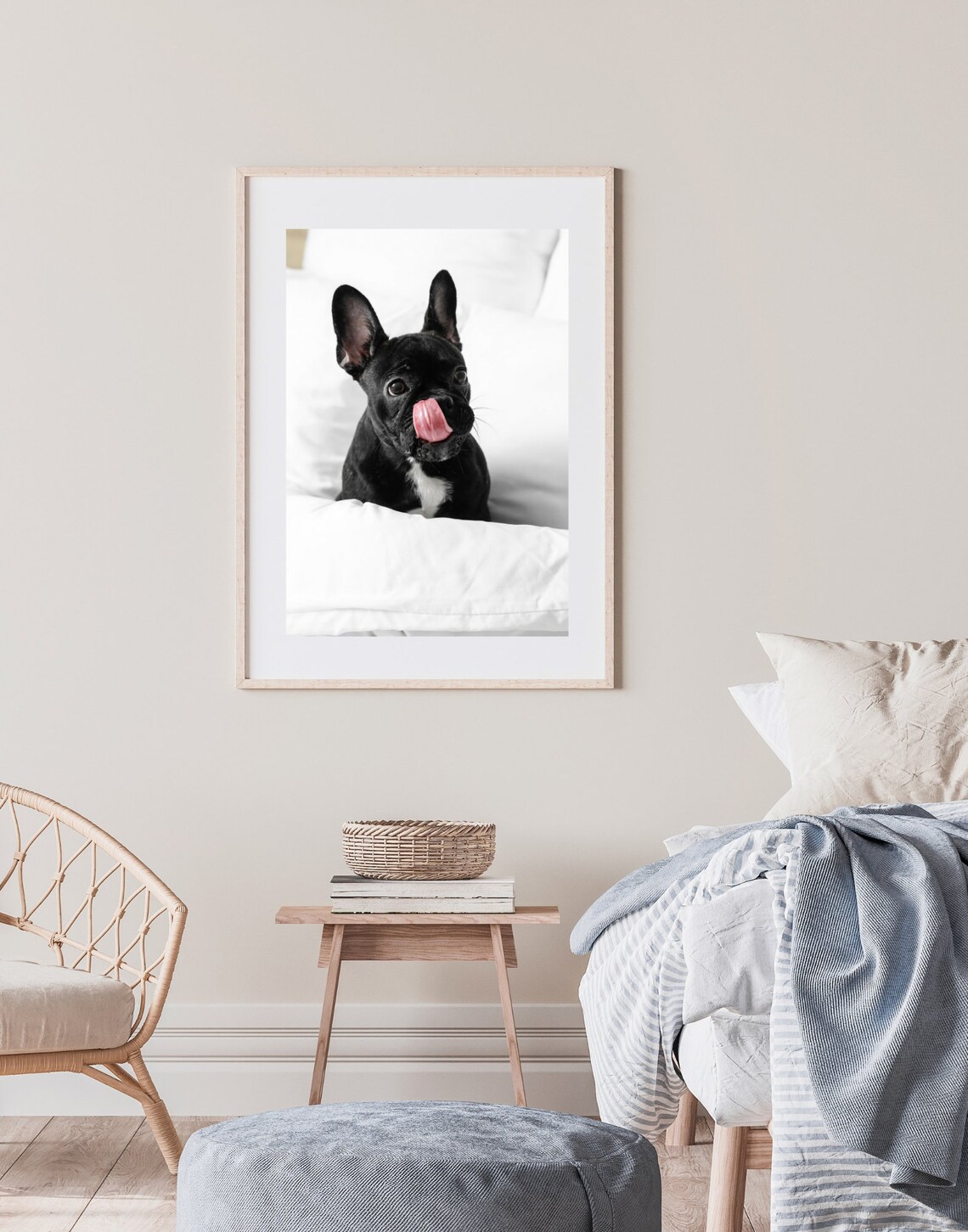 Black French Bulldog Puppy Licking Nose Cute Dog Photo Poster - Image 4