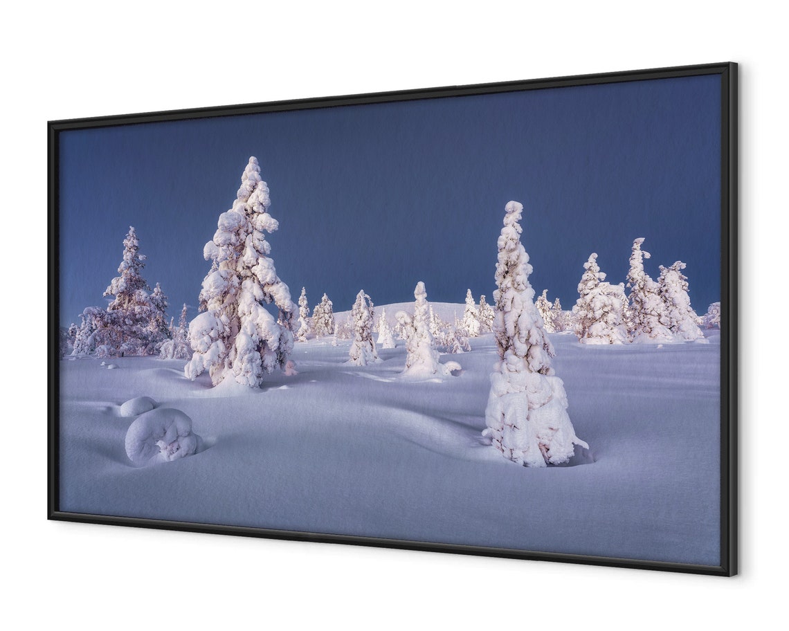 Snow Laden Pines At Blue Hour In A Silent Winter Wonderland Poster - Image 4