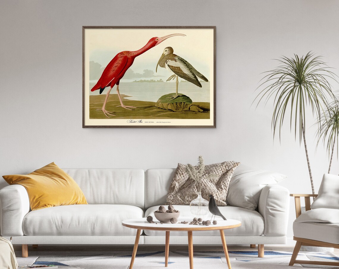 Audubon Print Set Sea Birds Vintage Nature Poster - Image 2