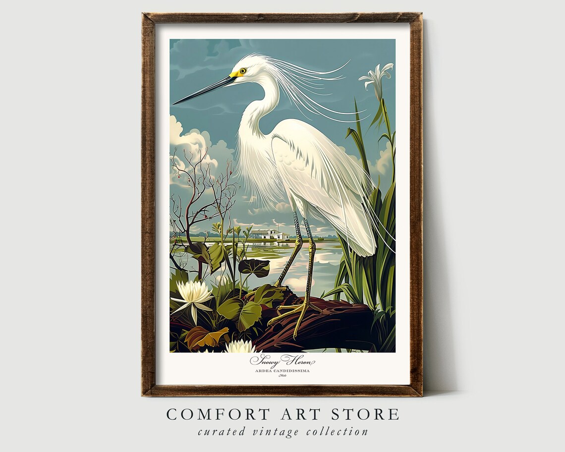 Audubon Style Snowy Heron Vintage Bird Art Print - Image 3