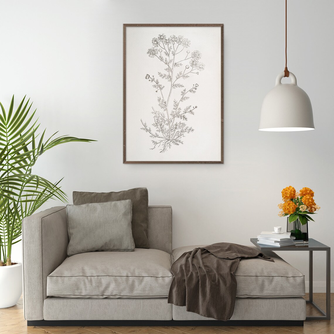 Chamomile Botanical Sketch, Rustic Kitchen Art Print - Image 7