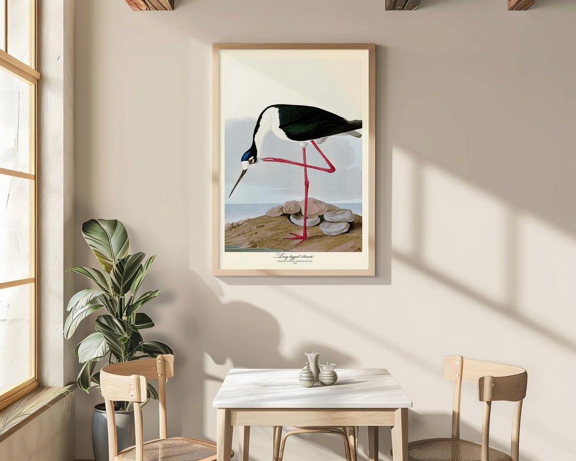 Long Legged Avocet Audubon Style Vintage Red Leg Wader Bird Poster - Image 7