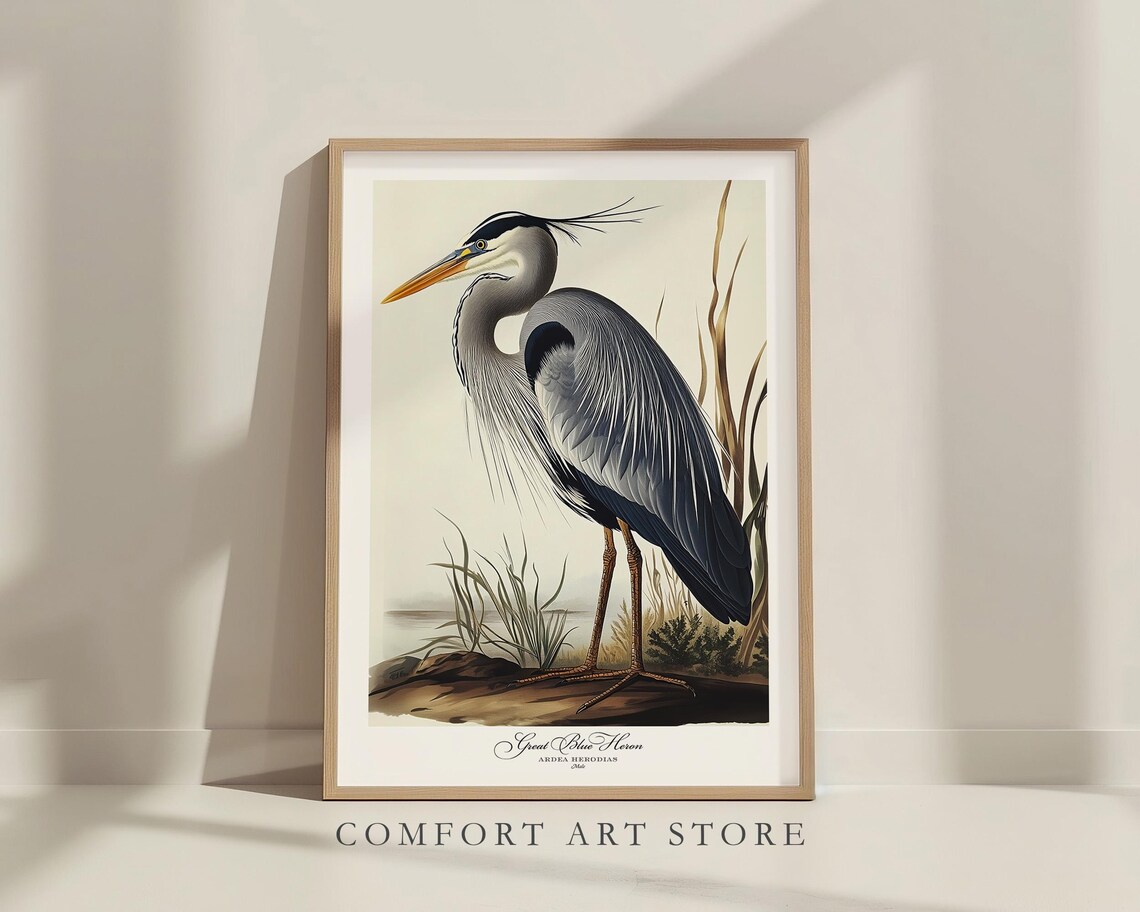 Great Blue Heron Audubon-Style Bird Print - Image 3