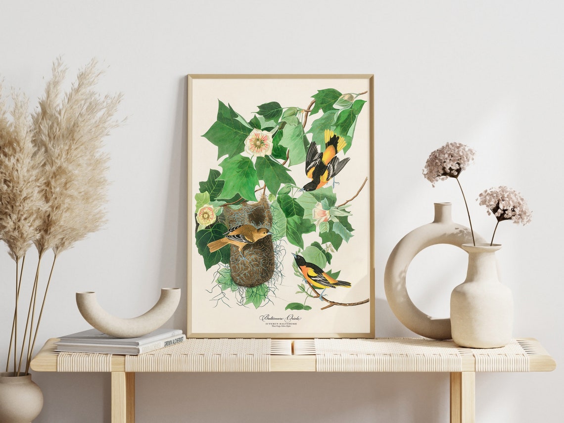 Carolina Parrot Audubon Style Vintage Bird Art Gallery Wall Poster - Image 4