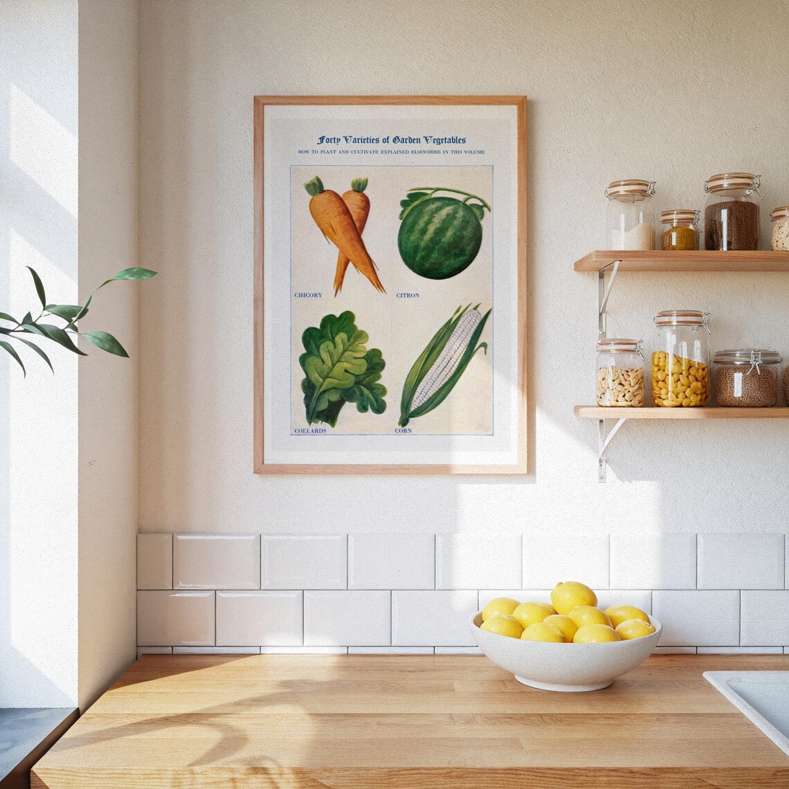 Vintage Garden Vegetables Poster Illustrated Varieties Chart Retro Carrot Poster Kitchen Wall Decor Art - Image 3