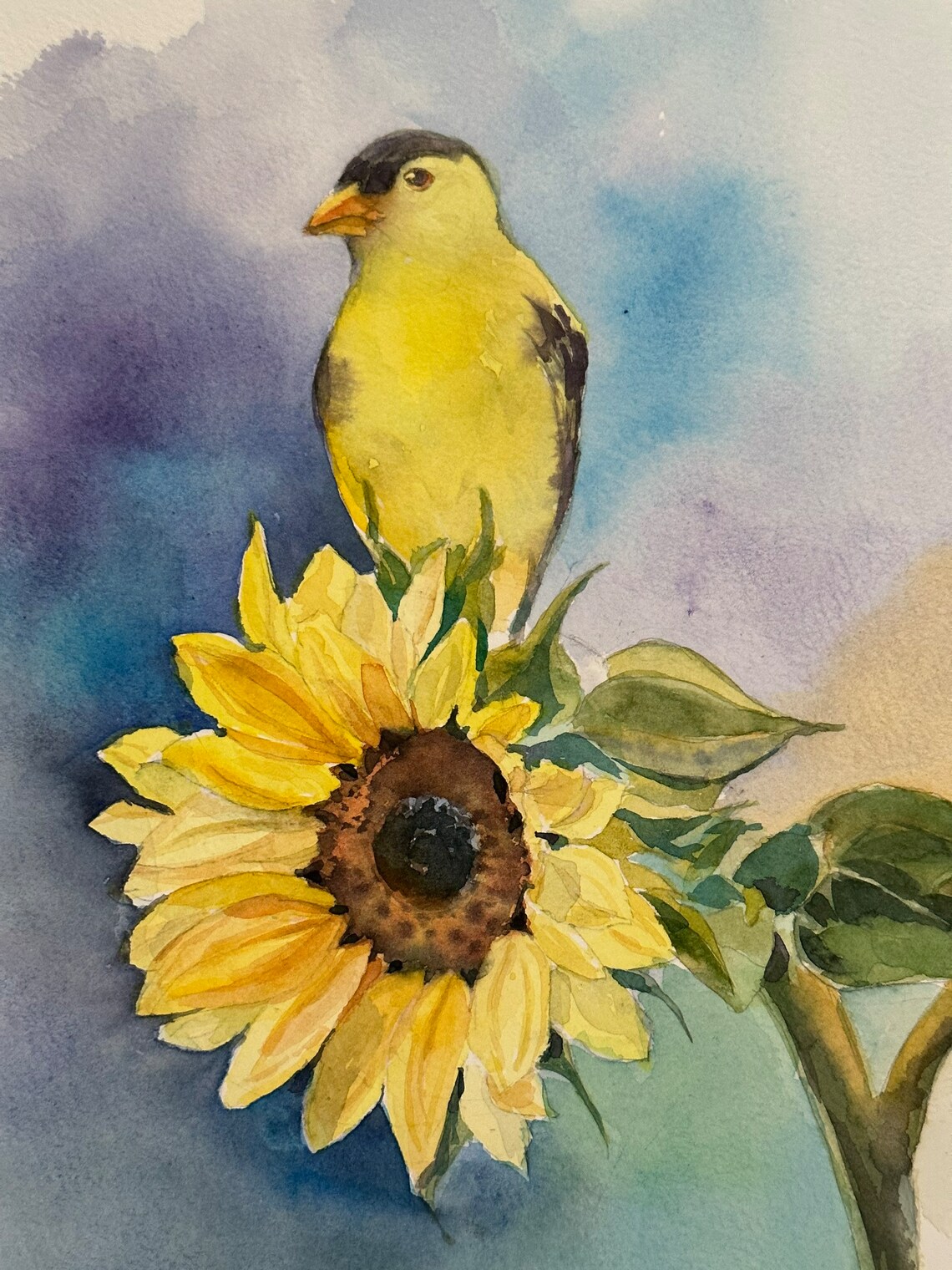 American Goldfinch on Sunflower Watercolor Summer Bird Poster - Image 4