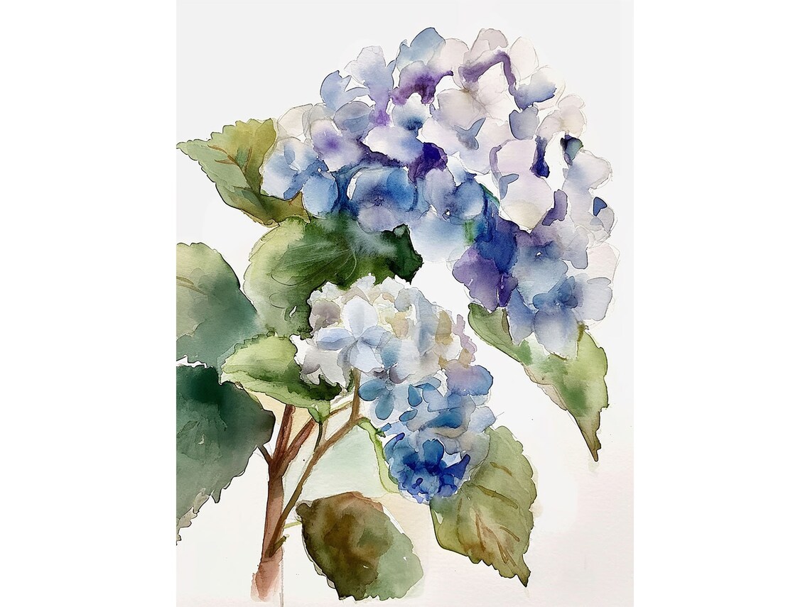 Hydrangea Watercolor Art Print, Spring Garden Flowers