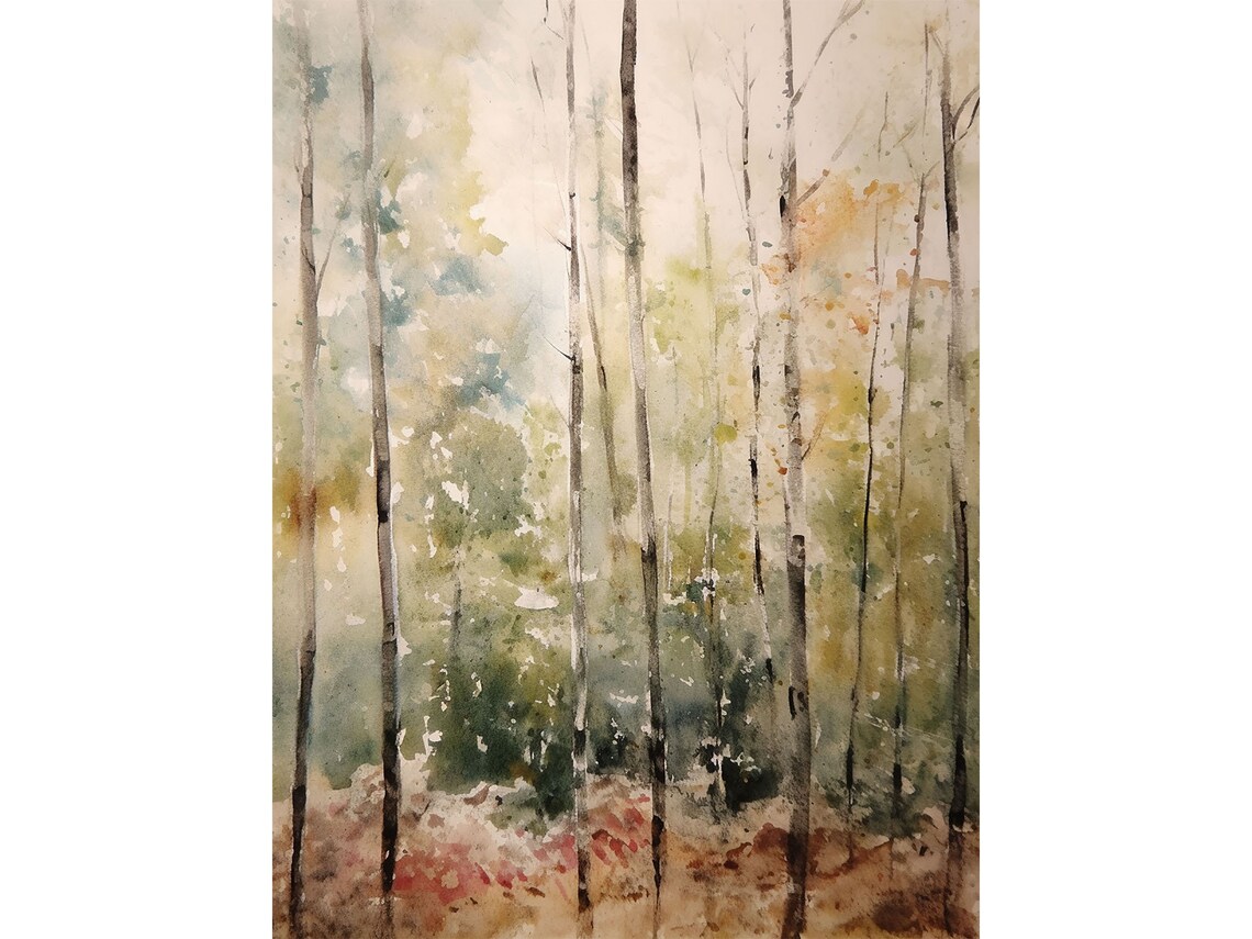 Spring Birch Forest Watercolor Art Print, Colorado Landscape