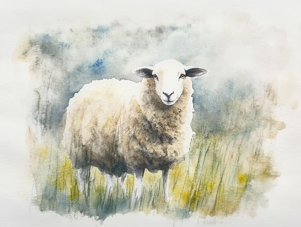 Sheep Painting Irish Sheep Rustic Watercolor Art Print