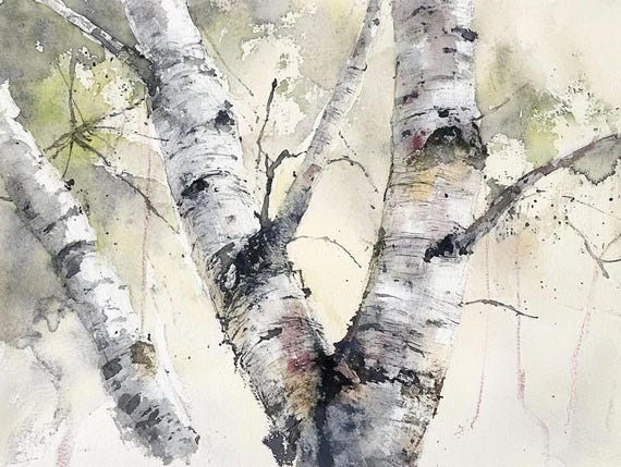 Old Birch Painting Birches Watercolor Art Print Aspen Forest Wall Art Landscape Prints Nature Poster