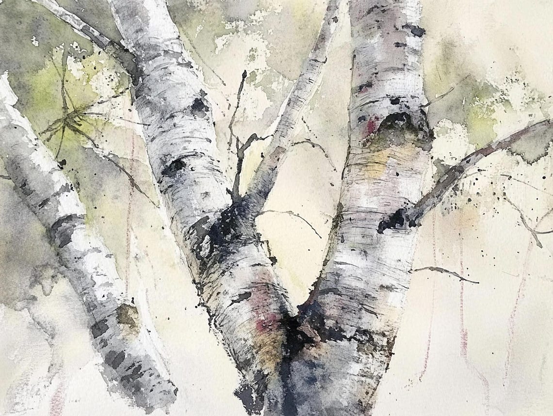 White Birch Tree Trunks in Soft Watercolor Forest Close Up Poster