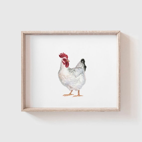 White Chicken Art Print, Farmhouse Kitchen Decor
