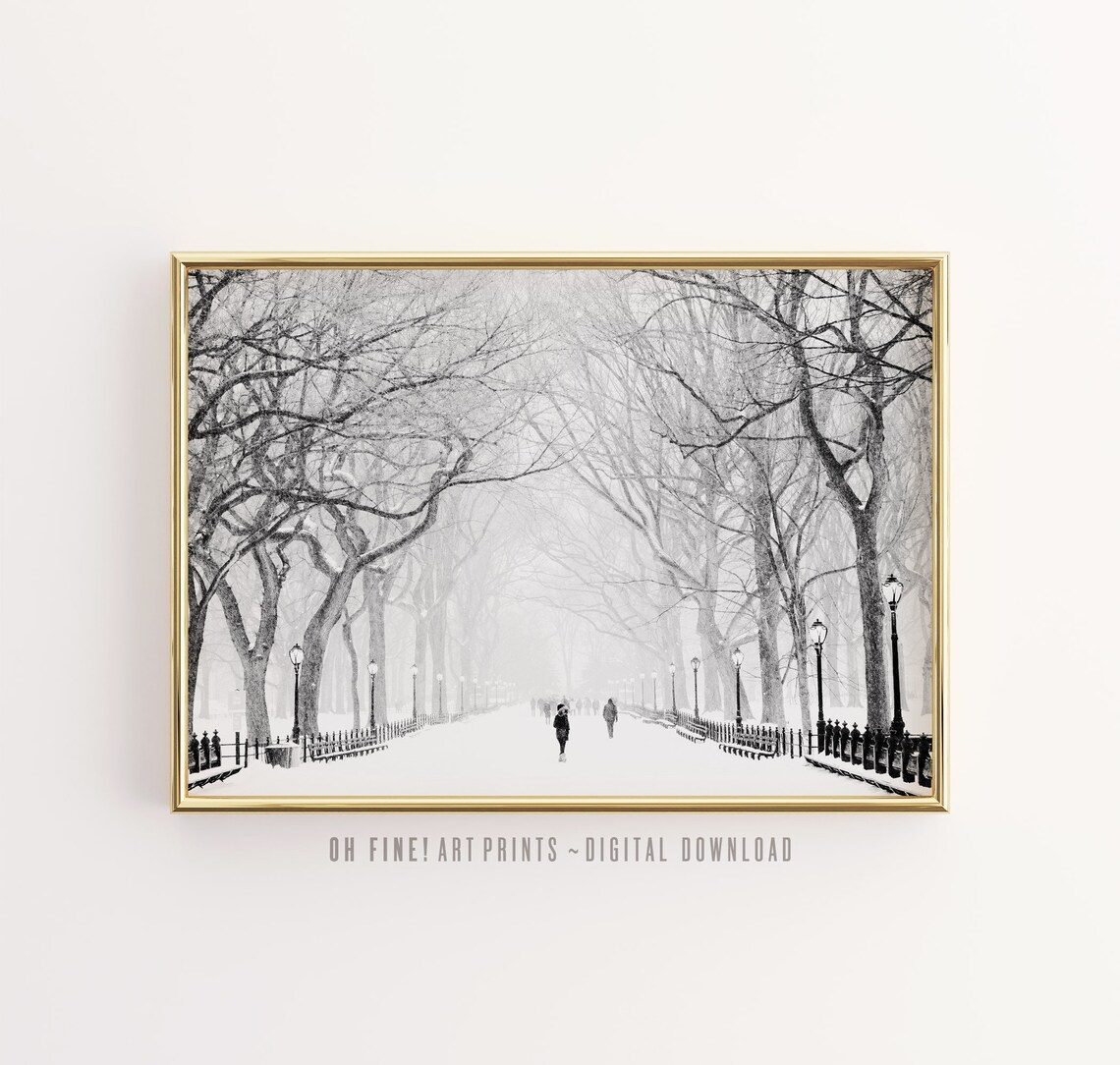 Central Park New York City Winter Art Print