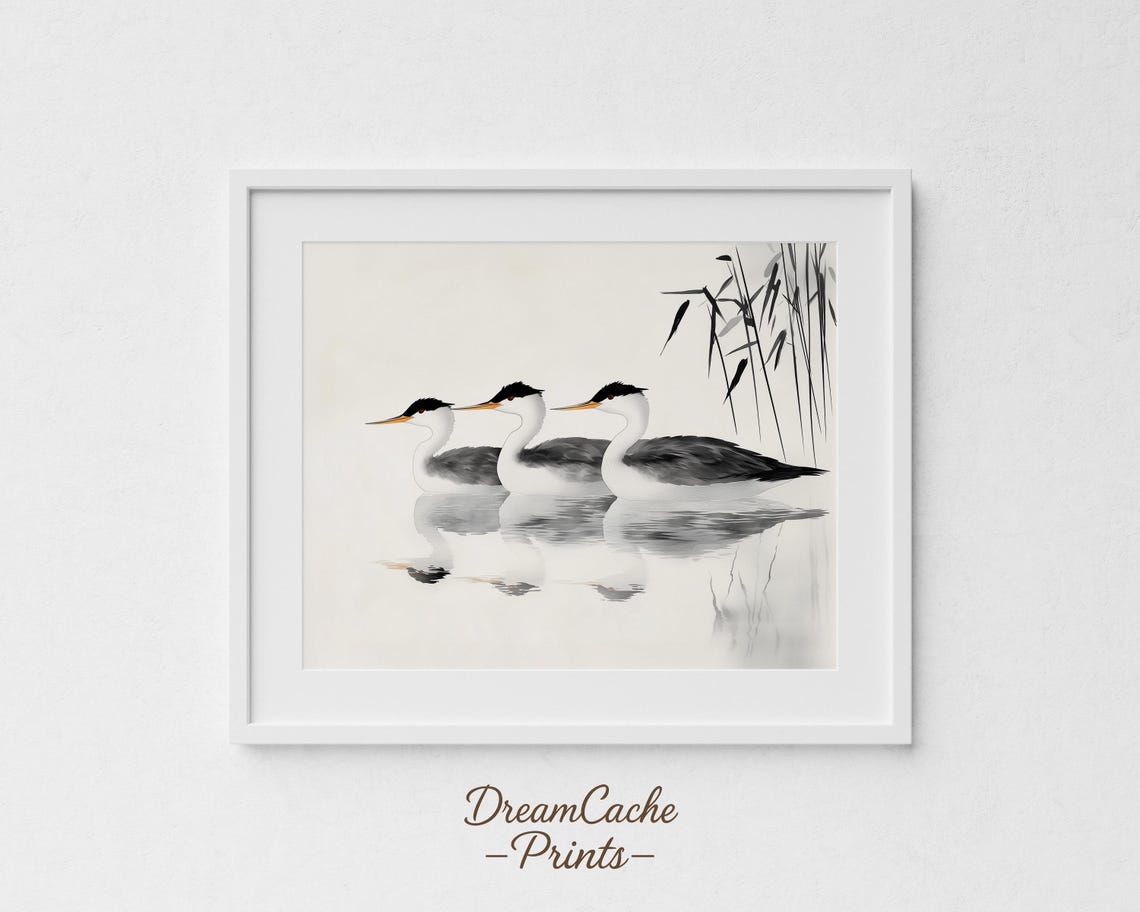 Three Western Grebes On Calm Water Ink Wash Painting Art Poster