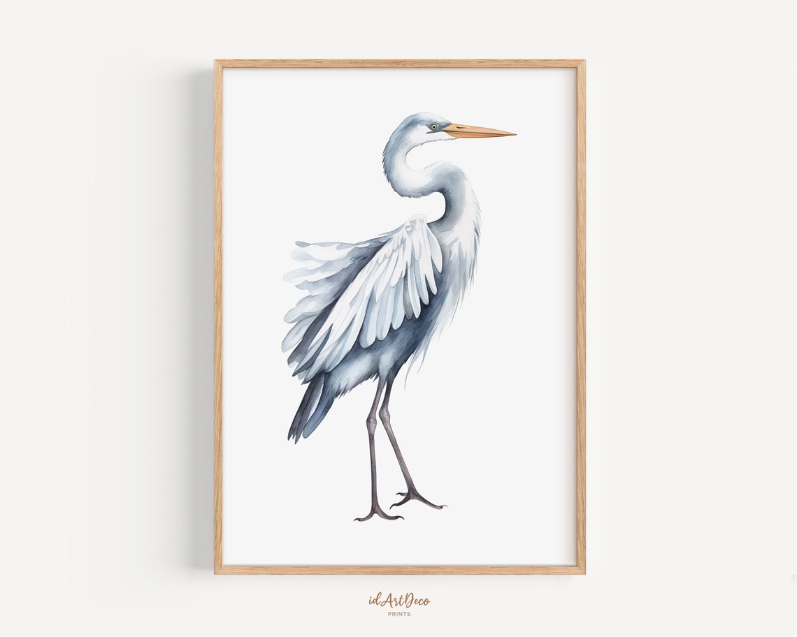 Watercolor Grey Heron Standing Bird Wildlife Minimalist White Poster