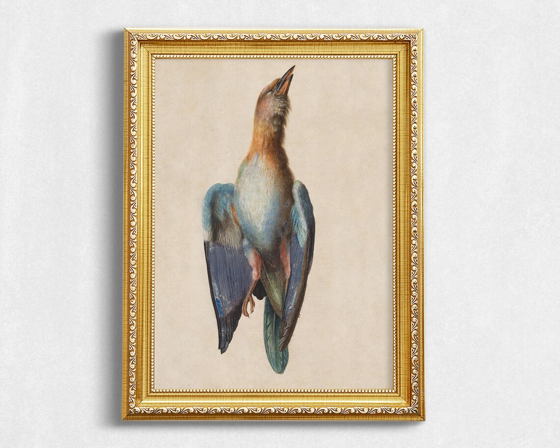 Vintage Bird Study Art Print, Antique Scientific Style - Image 2