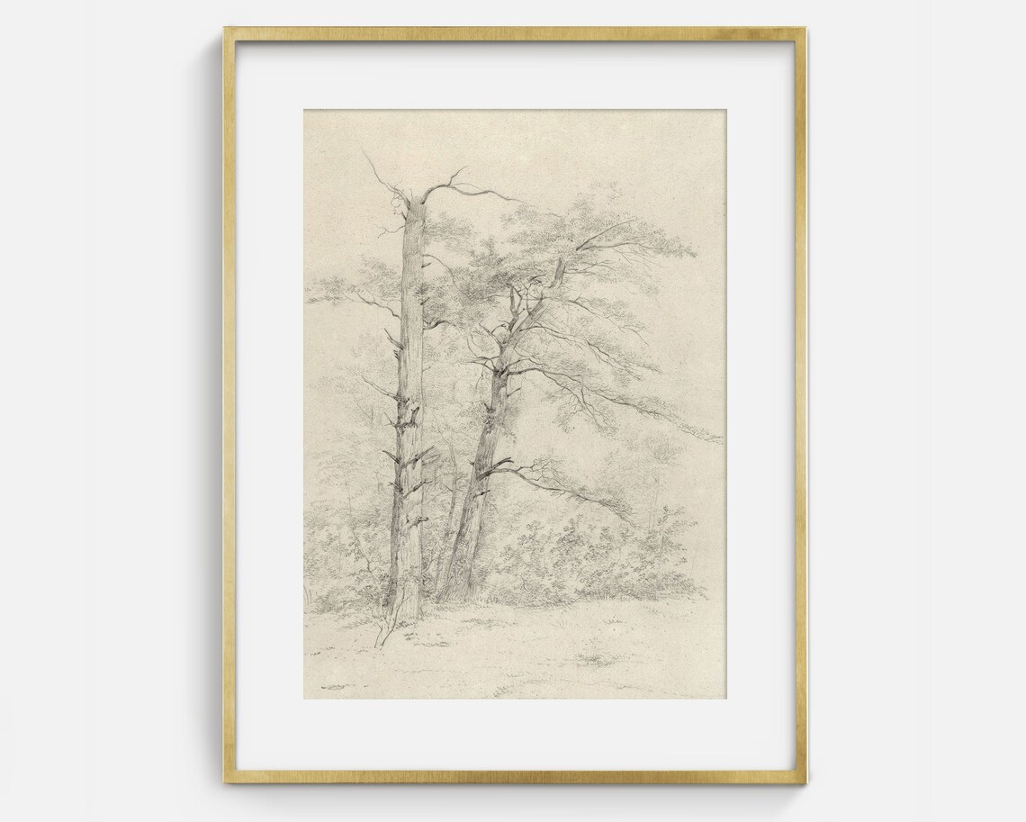 Antique Tree Sketch Art Black And White Trees Drawing Print - Image 2