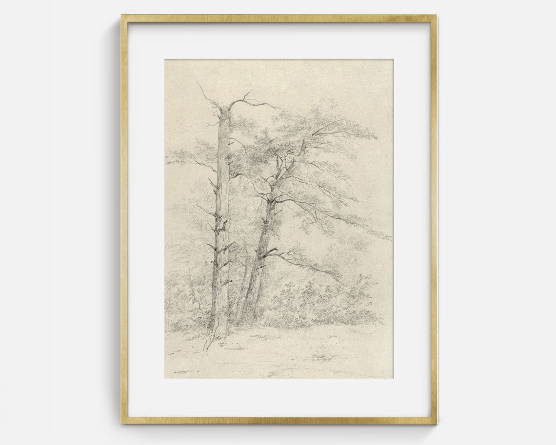 Antique Tree Sketch Black And White Bare Branches Drawing Art Poster - Image 2