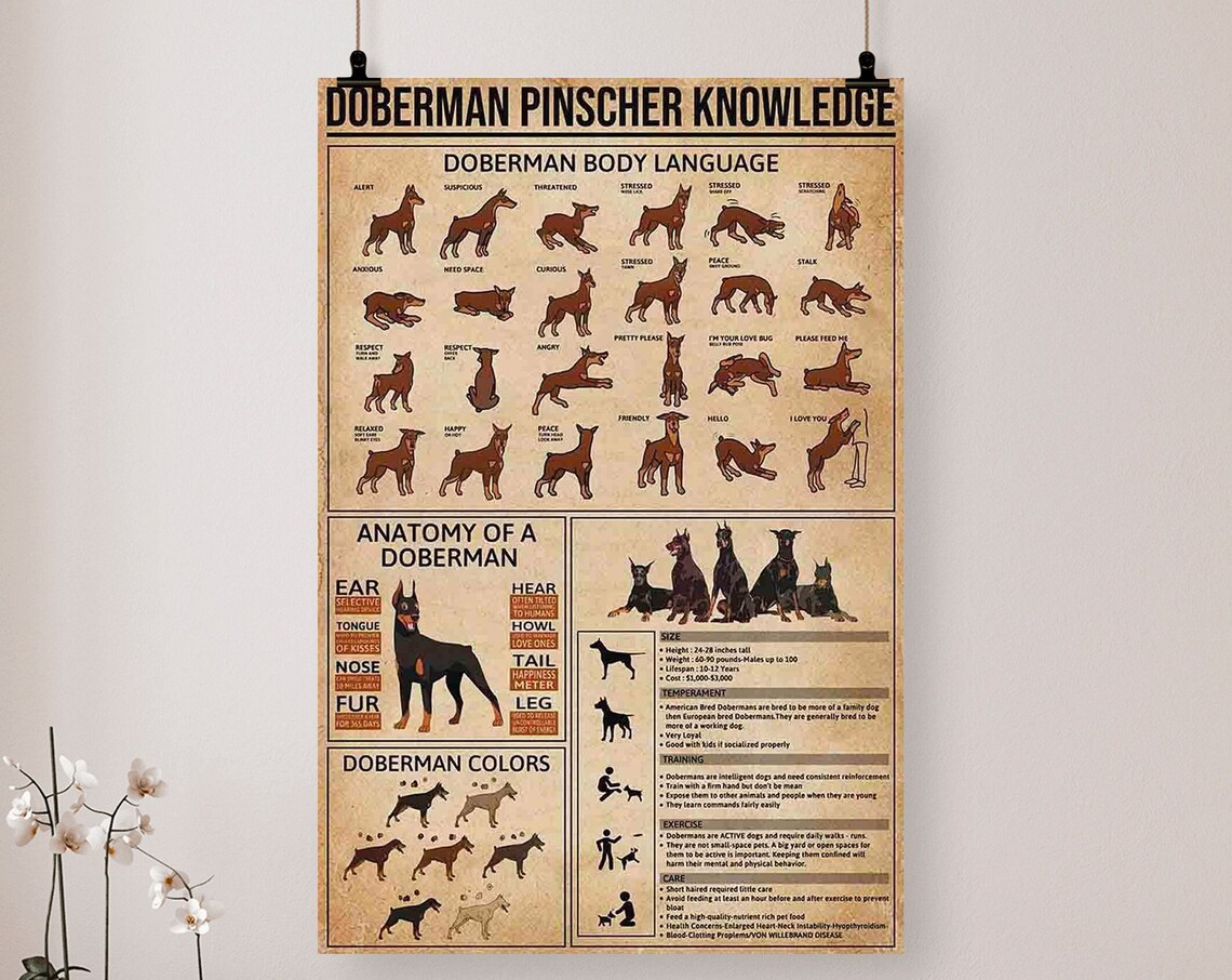 Doberman Pinscher Dog Vintage Knowledge Poster