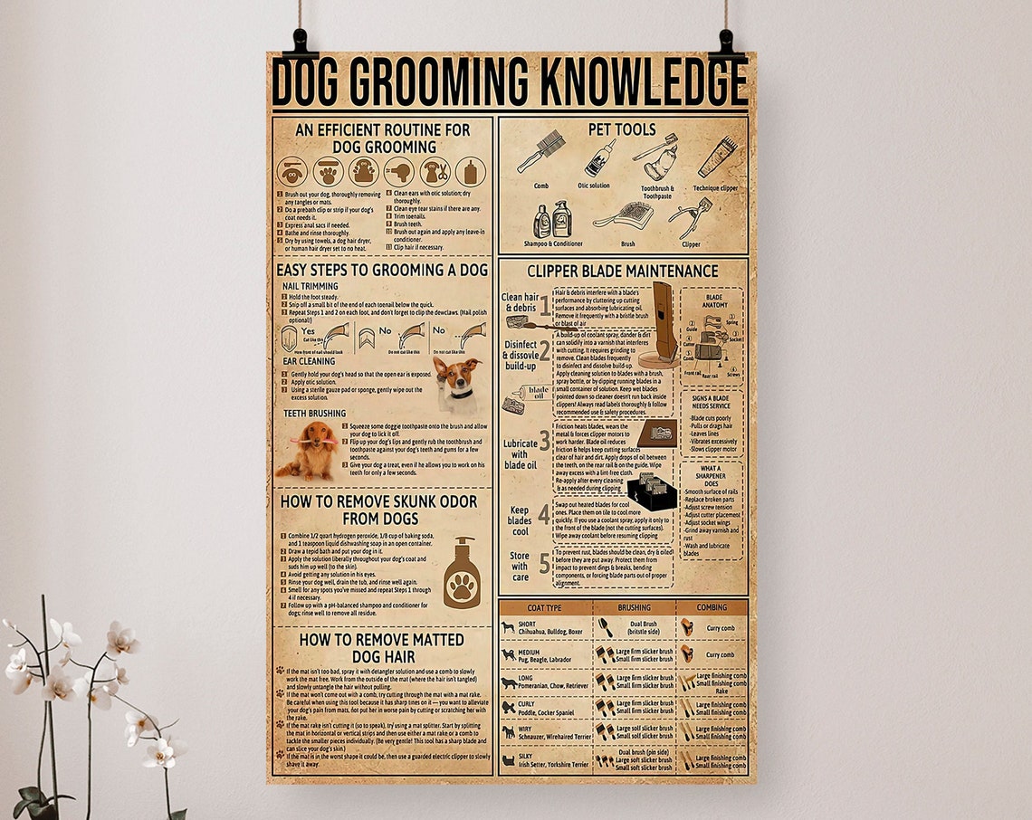 Dog Grooming Knowledge Routine Tools Tips Vintage Pet Care Poster