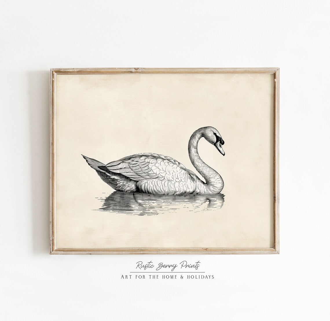 Elegant Swan Swimming Vintage Engraving Neutral Cream Bird Art Poster
