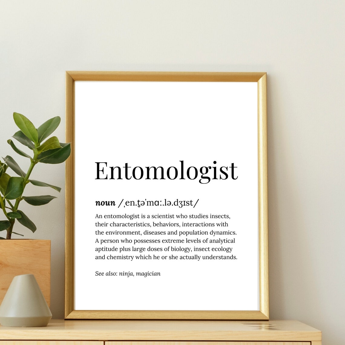 Entomologist Definition Dictionary Serif Funny Ninja Wizard Poster - Image 3