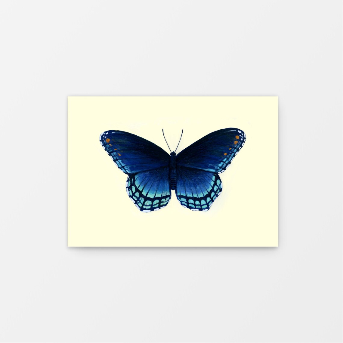 Red Spotted Purple Butterfly Gouache Mini Art Print on Cream
