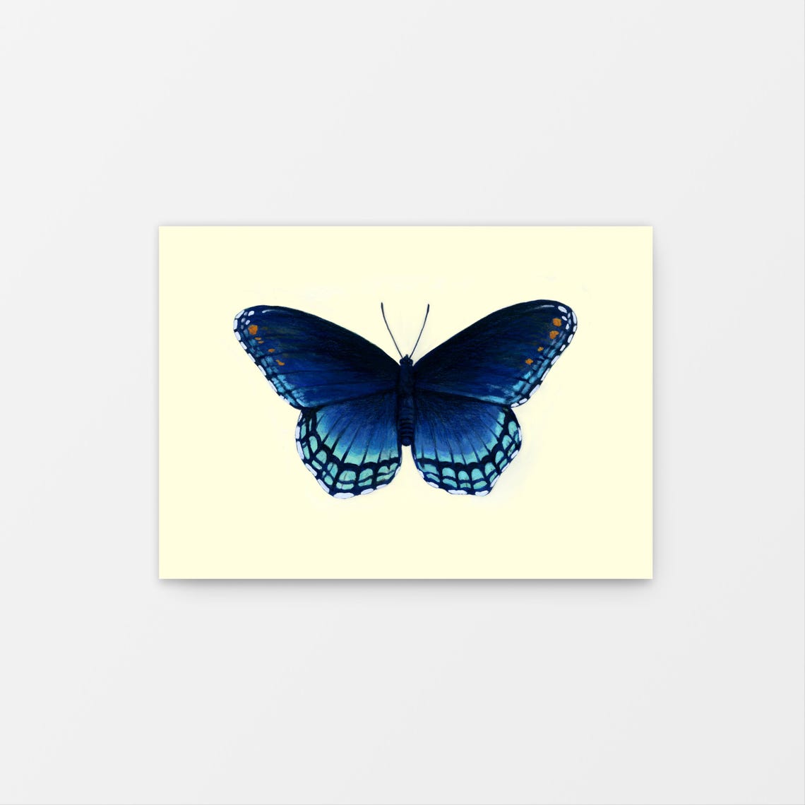 Red Spotted Purple Butterfly Limenitis Arthemis Gouache Art Mini Print 5 X 7