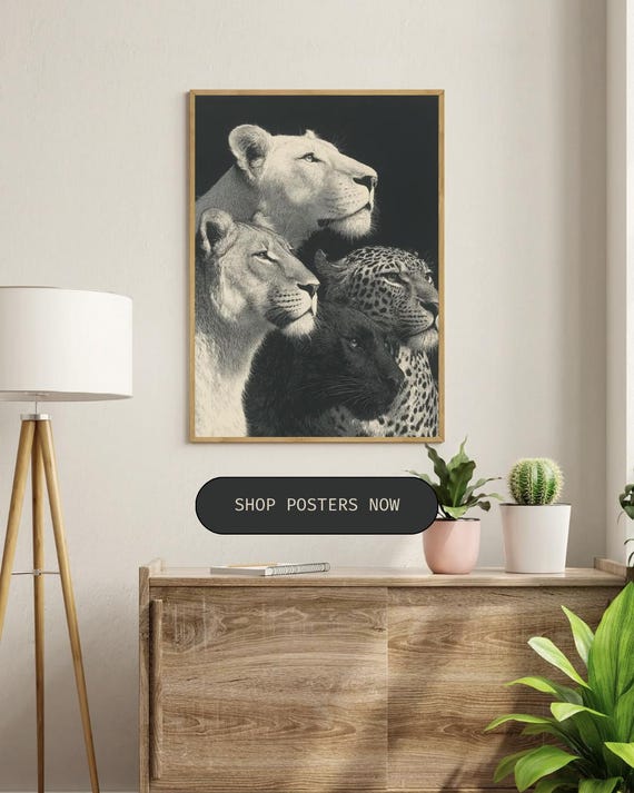 Wildlife Animal Wall Art Black And White Lion Leopard Print Safari Nature Poster Modern Home Decor Gift For Lovers