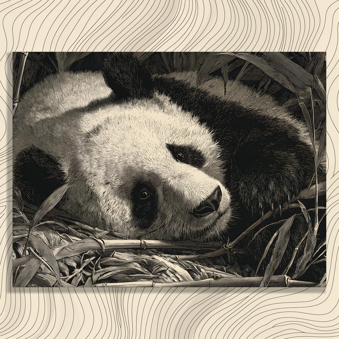 Giant Panda Resting in Bamboo Black and White Engraving Poster