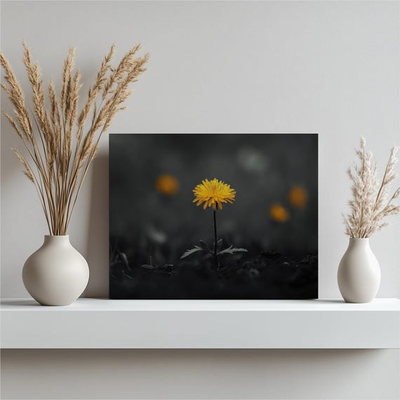 Dandelion Canvas Wall Art Black And White With Yellow Flower Modern Home Decor Framed Prints Botanical Unique Artwork Nature