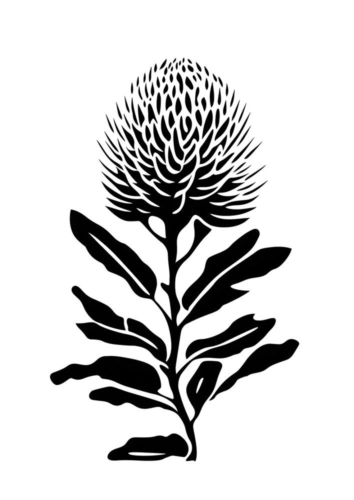 Black and White Banksia Flower Botanical Linocut Style Poster - Image 2