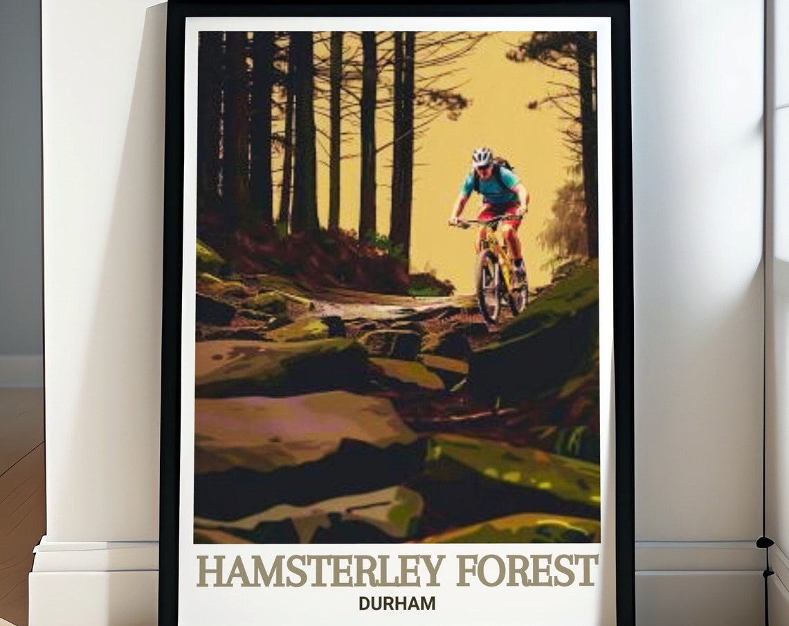 Hamsterley Forest Durham Mountain Biker on Rocky Trail Poster