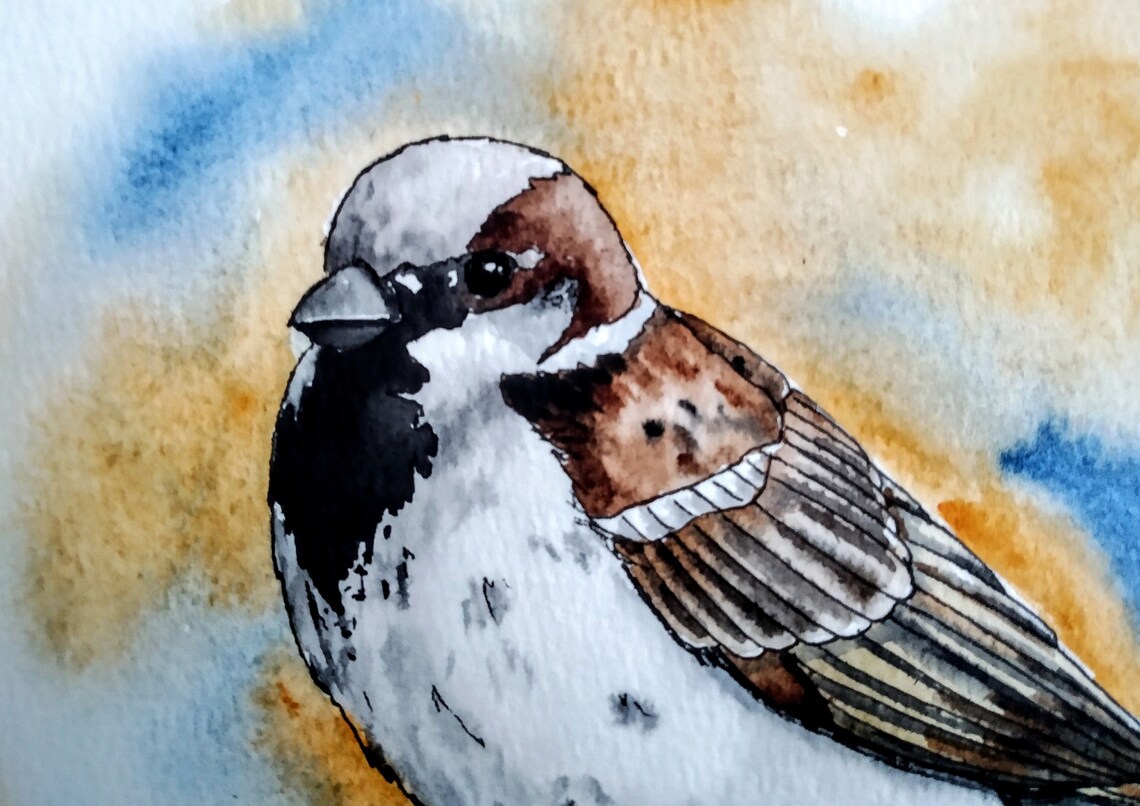 Male House Sparrow on Branch Golden Background Watercolor Poster - Image 2