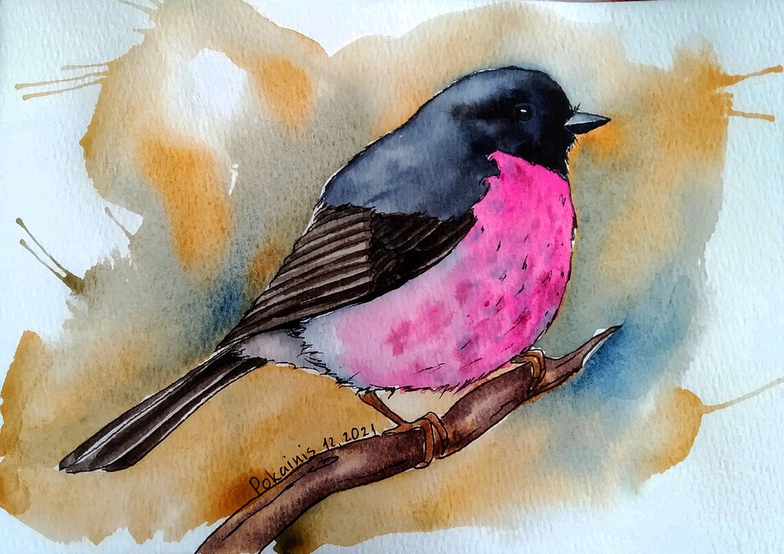 Pink Robin Bird on a Branch Watercolor Songbird Portrait Poster