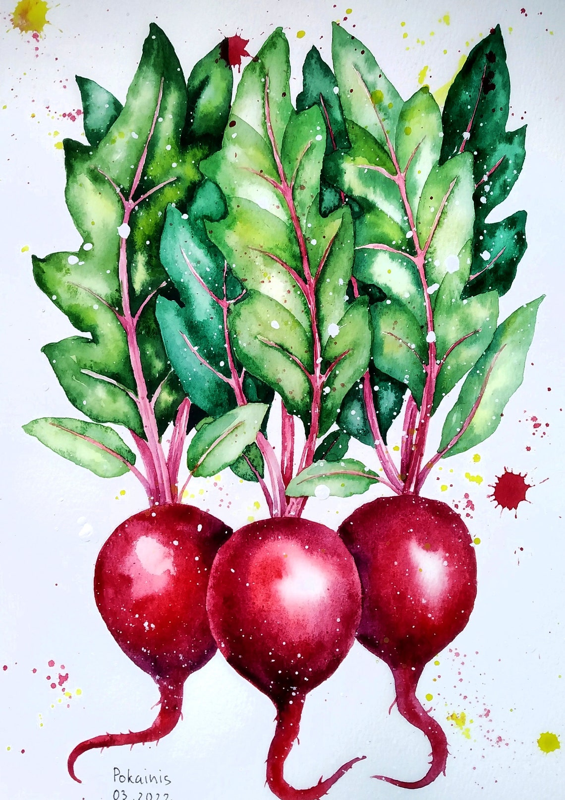 Red Beets Watercolor Vegetable Garden Still Life Kitchen Poster