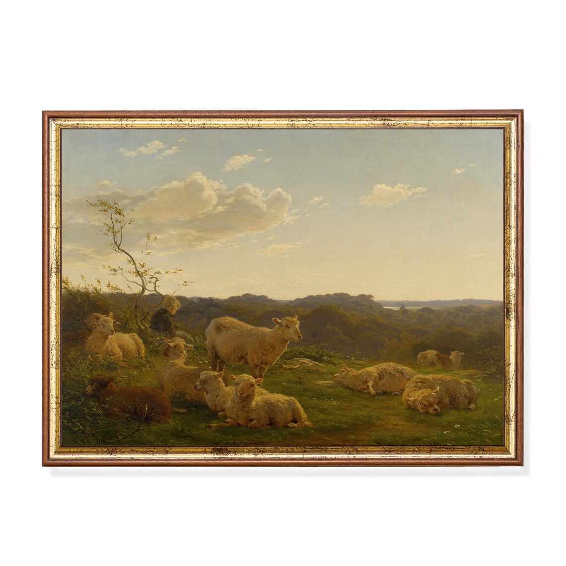 Vintage Sheep Antique Landscape Animal Lover Poster