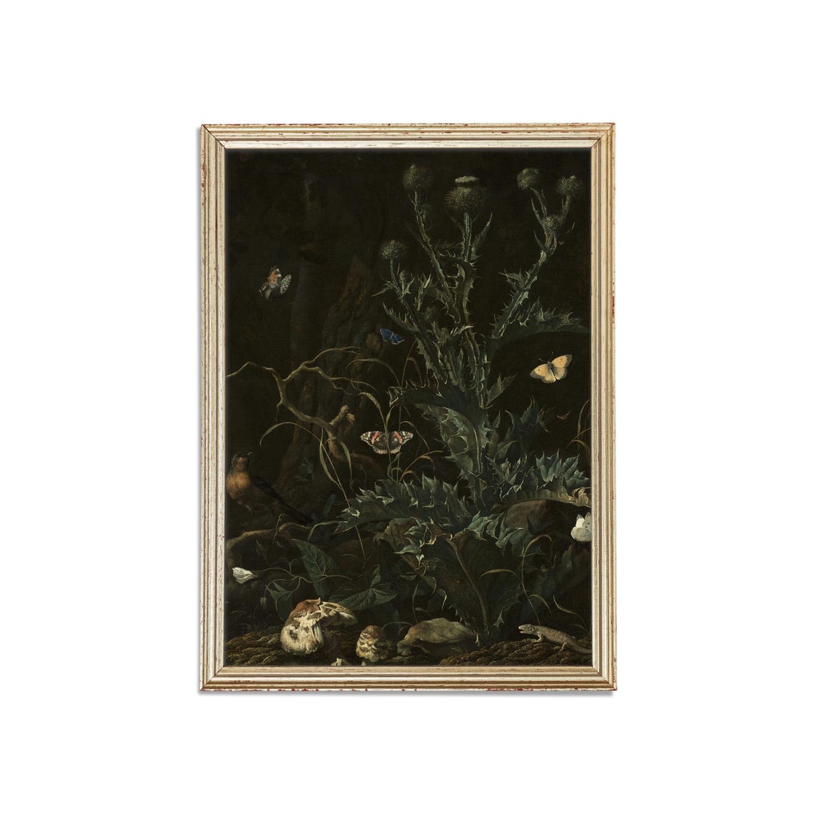 Dark Forest Floor with Thistles Butterflies and Moth Still Life Poster - Image 3