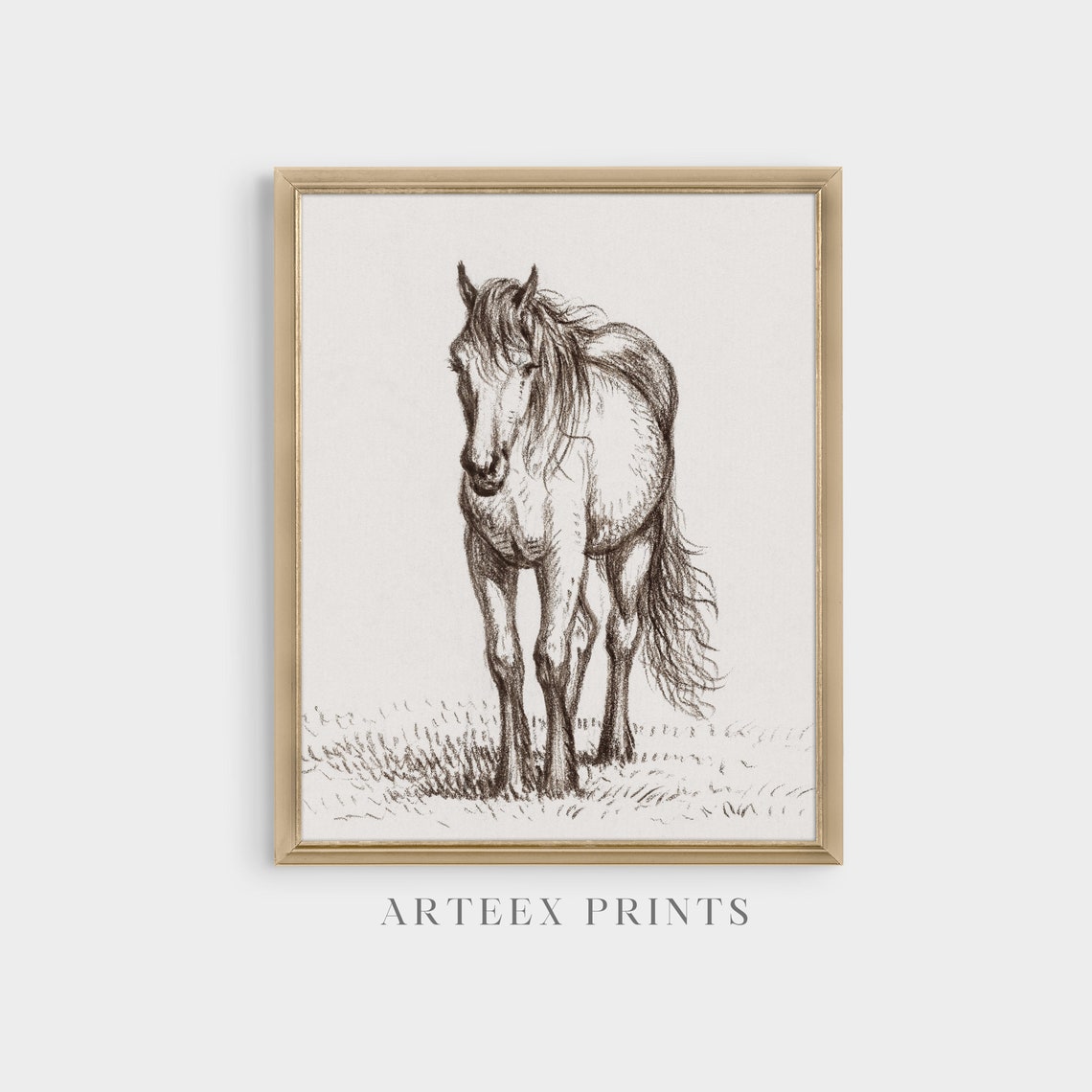 Standing Horse Pencil Sketch Minimalist Equestrian Drawing Poster - Image 3