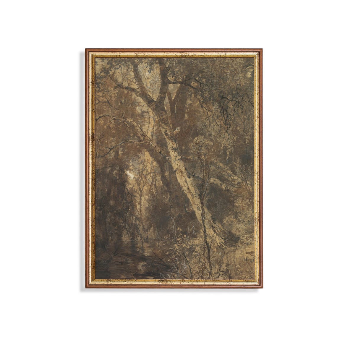 Old Birch Trees Dark Forest Antique Nature Sketch Art Poster