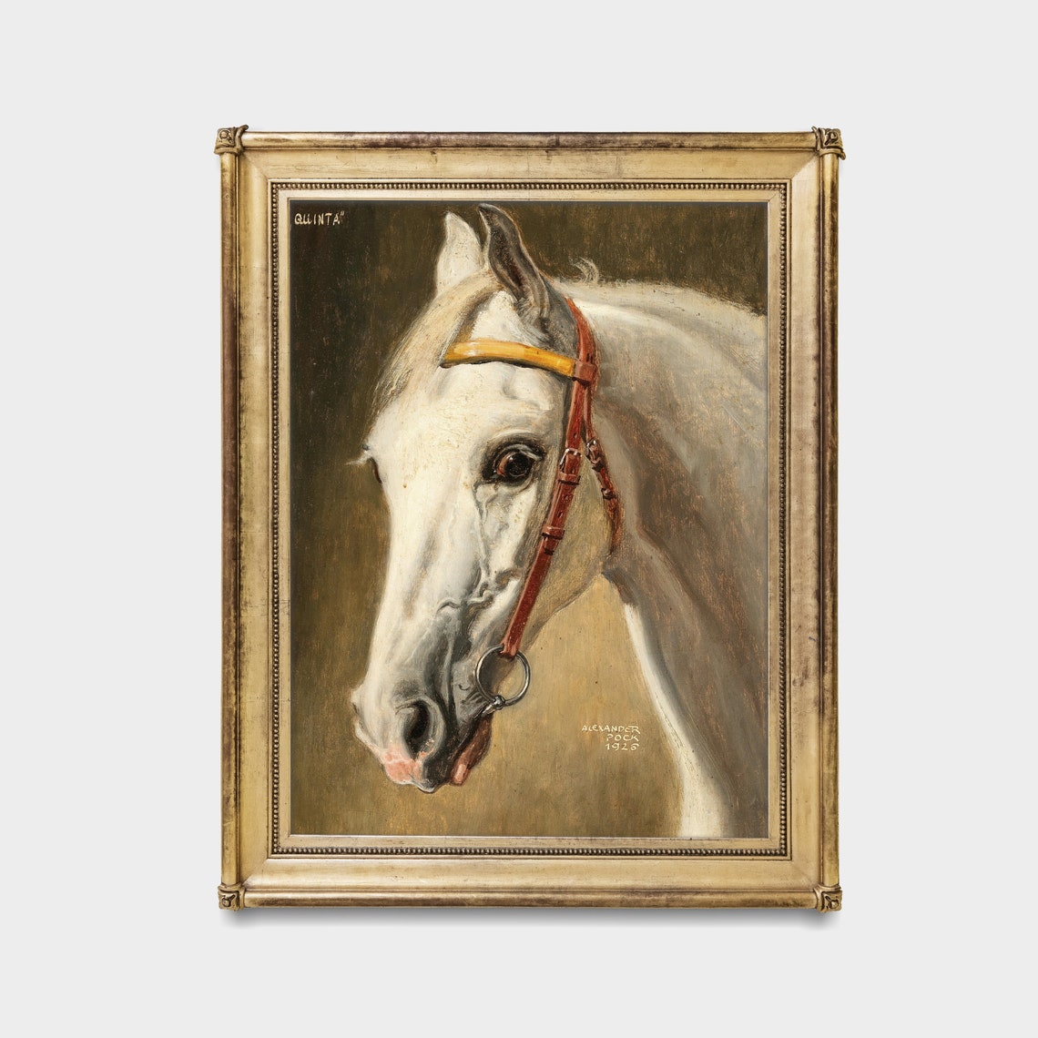 Quinta the White Horse 1926 Alexander Pope Equine Portrait Poster - Image 2