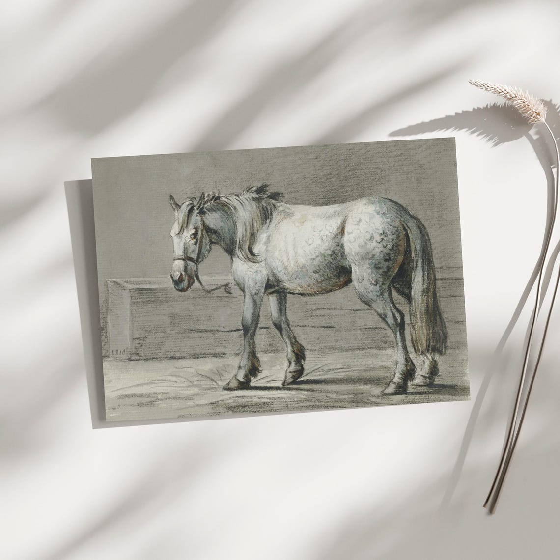 Antique Dapple Grey Horse Sketch Dated 1810 Equestrian Drawing Poster - Image 3