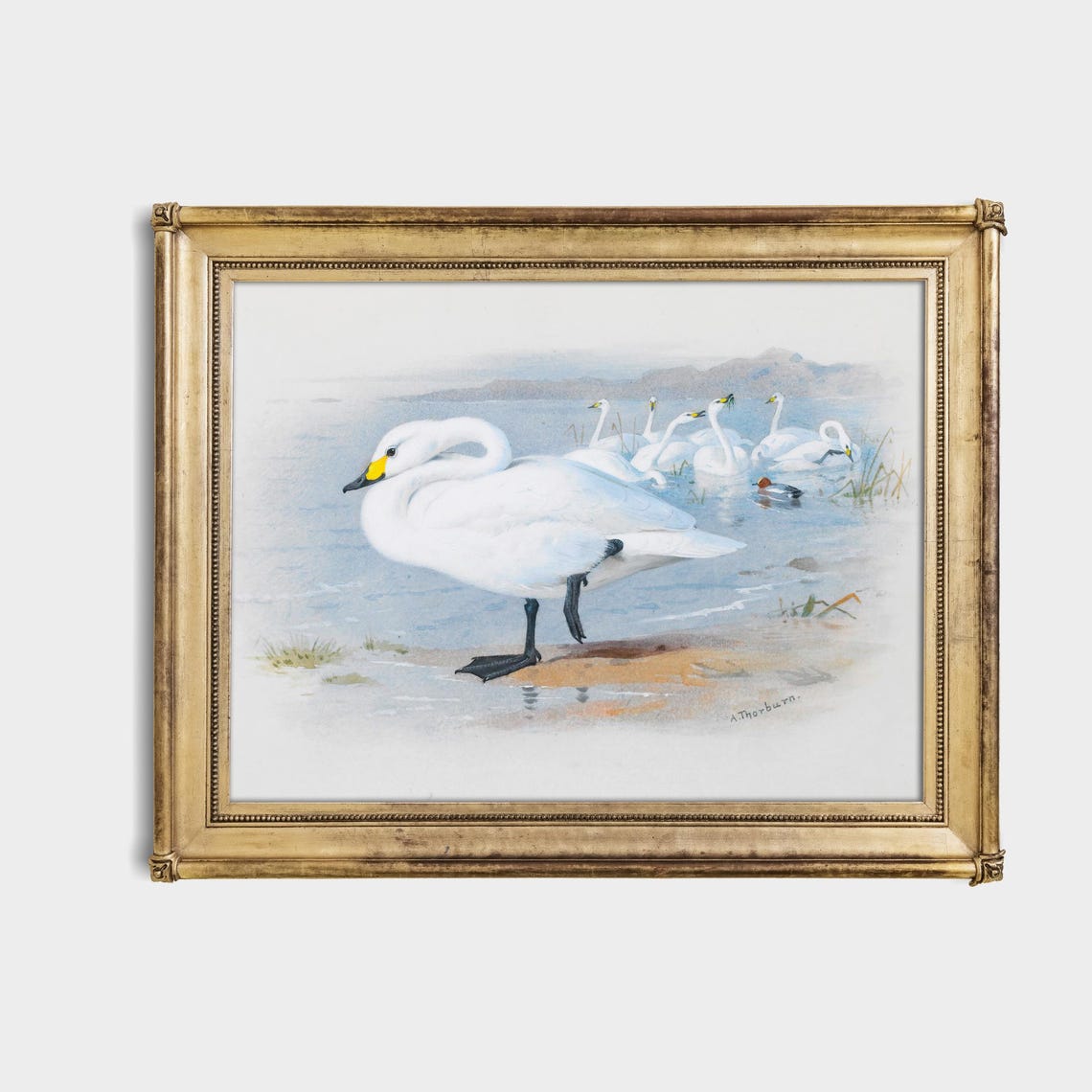 Graceful White Swans at a Misty Lakeshore Vintage Bird Poster - Image 4