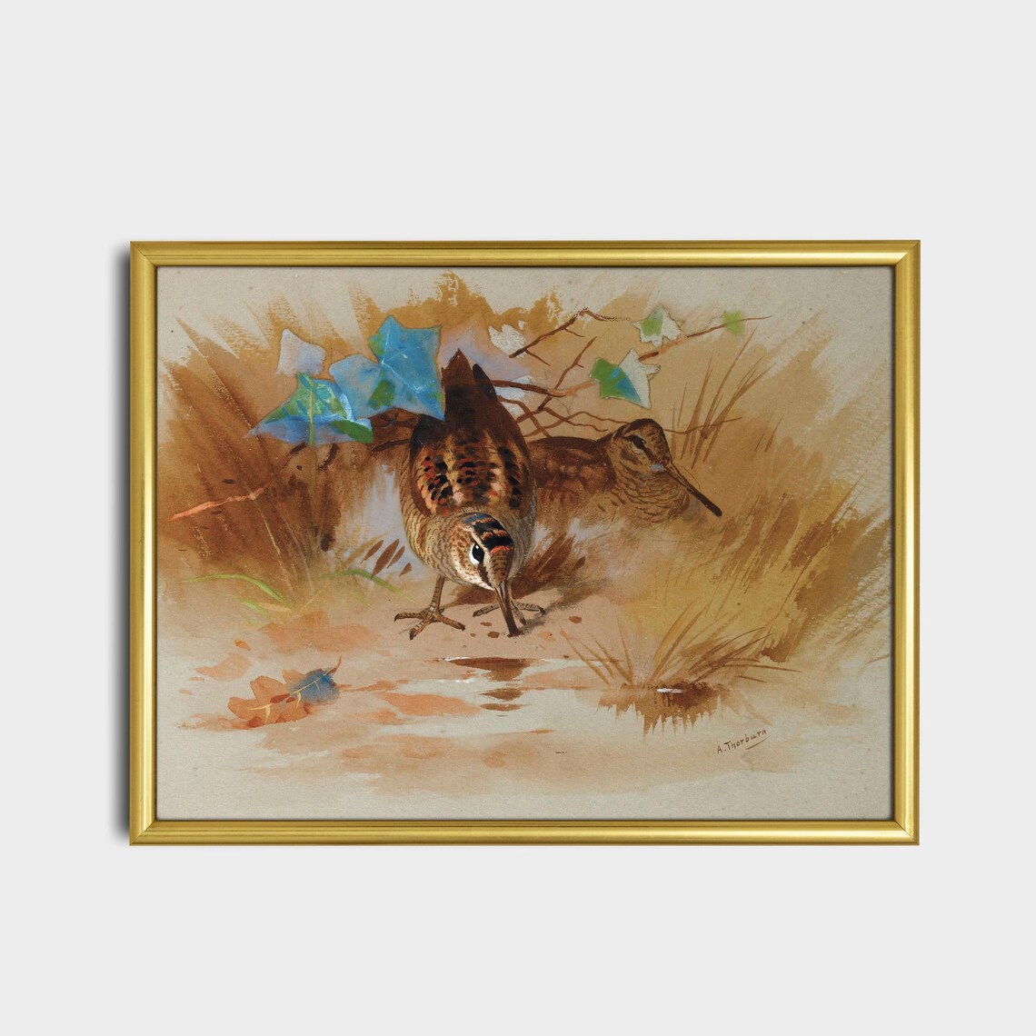 Pair Of Woodcock Game Birds In A Woodland Clearing Vintage Poster - Image 2