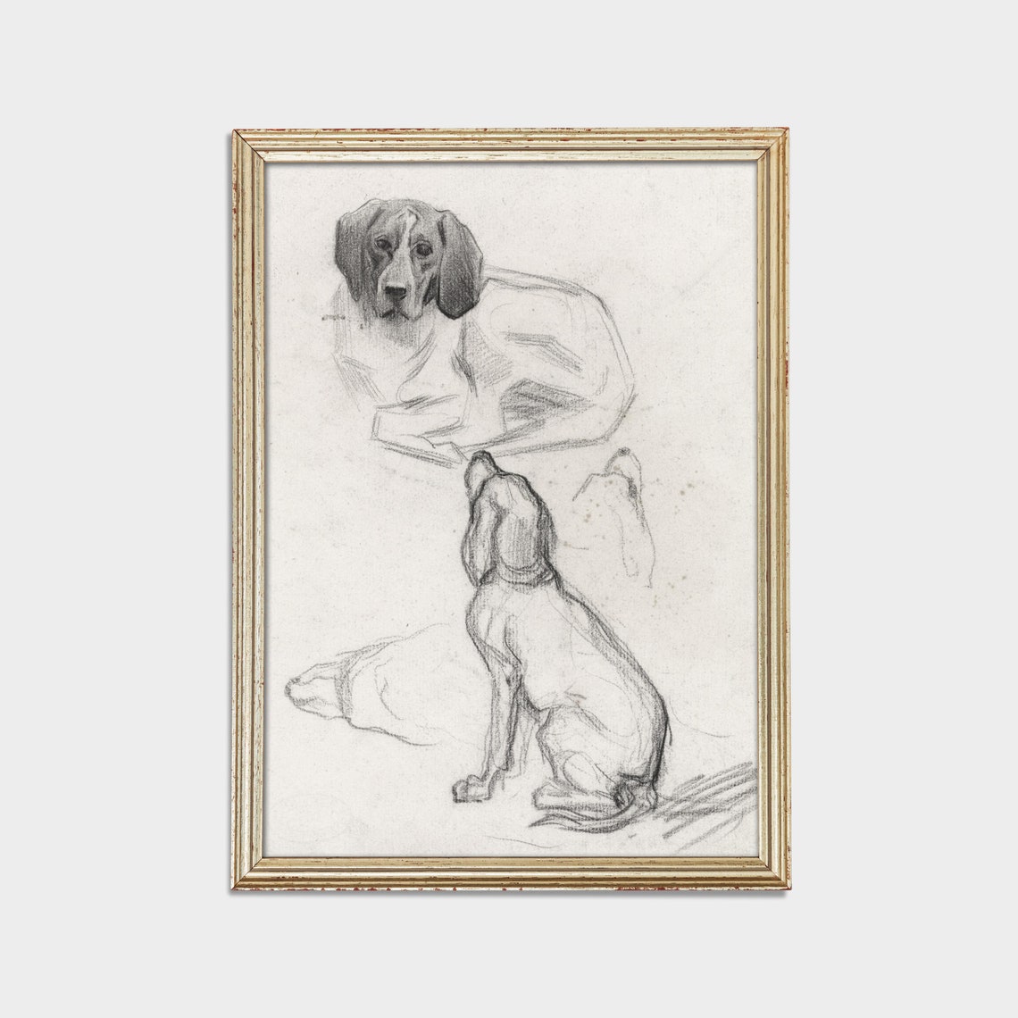 Hound Dog Study Pencil Sketches Antique Animal Drawing Wall Art - Image 3